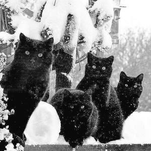 Meet your Posher, Carolyn s